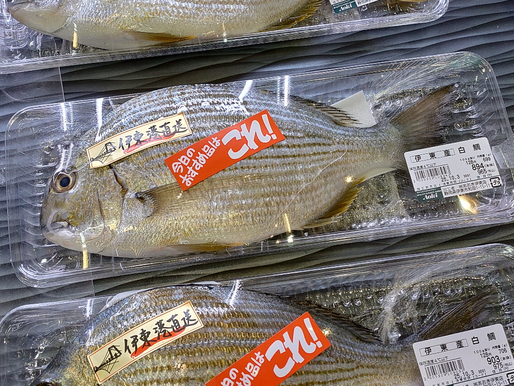 ヘダイの特徴１